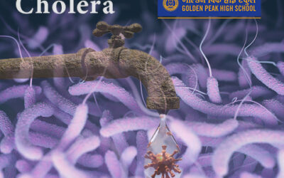 Cholera and Its Prevention