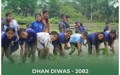 Golden Peak School Students Participate in National Paddy Plantation Day 2082
